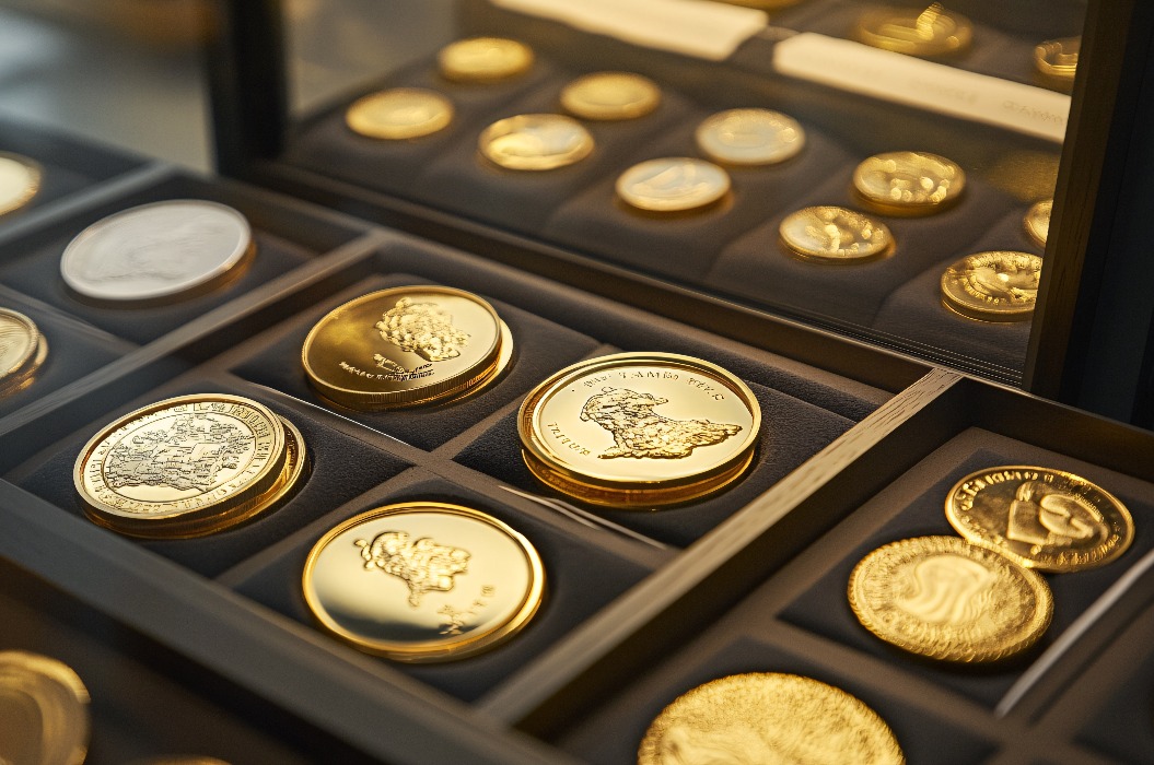 Eine Sammlung glänzender Gold- und Silbermünzen, präsentiert in einem schwarzen Etui, das ihre aufwendigen Motive und unterschiedlichen Größen zur Geltung bringt.